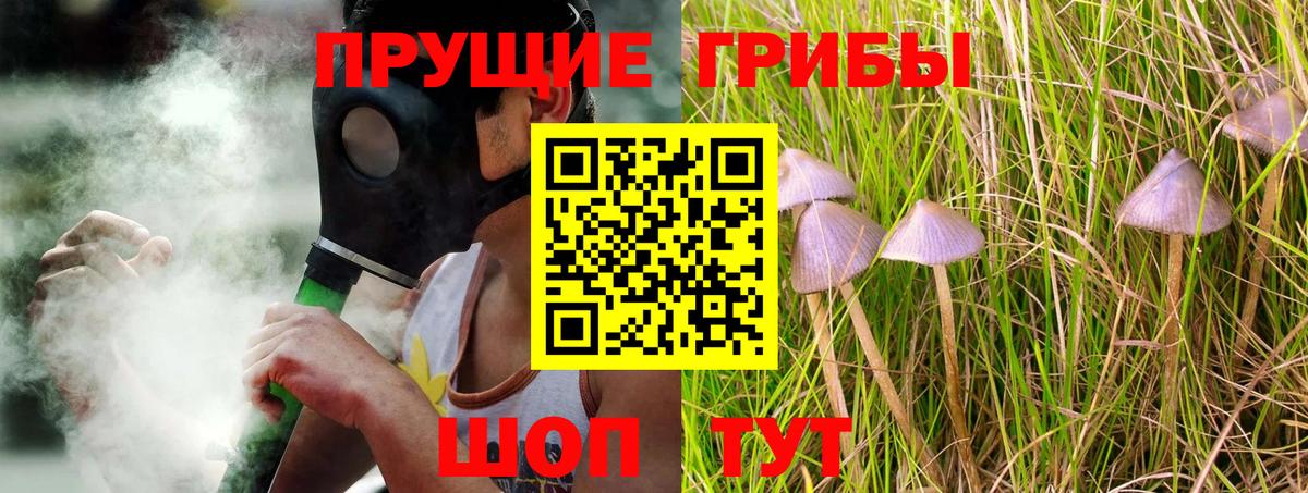 Галлюциногенные грибы GOLDEN TEACHER Изобильный