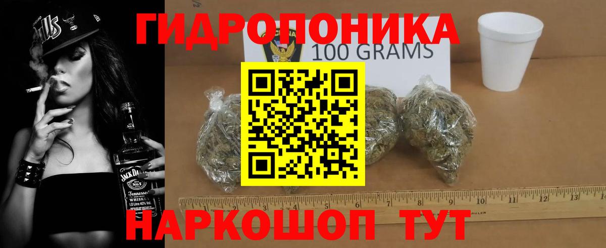 Бошки Шишки планчик Изобильный